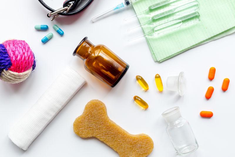 宠物犬护理治疗工具