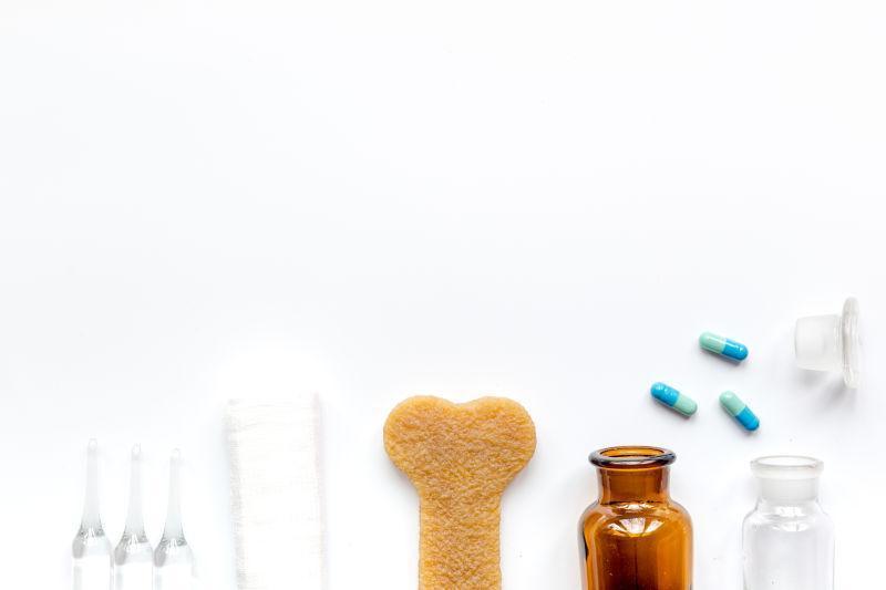 白色背景上的宠物犬护理治疗药品