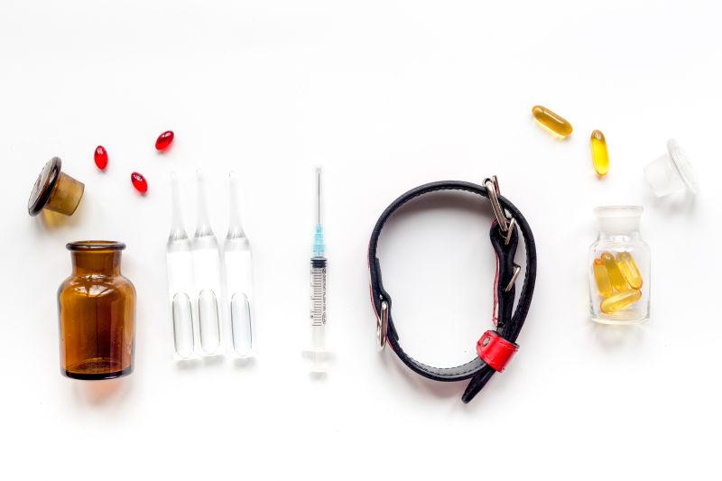 宠物护理治疗概念