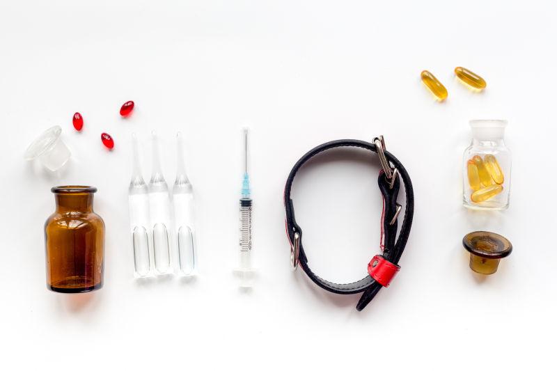 白色背景下的宠物医药护理概念