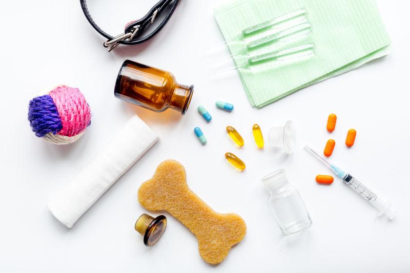 宠物犬治疗药品和护理工具