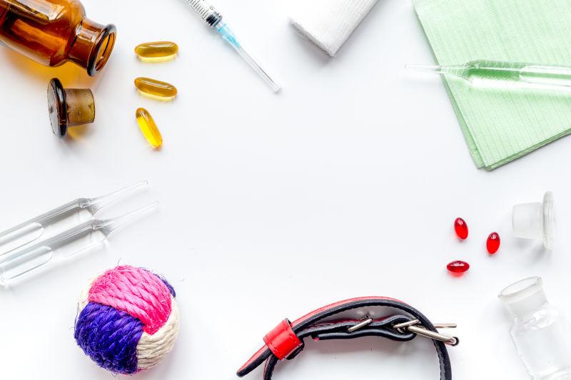 白色背景下的宠物药品和护理工具