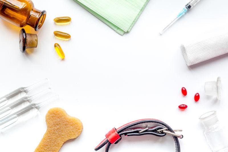 白色背景下的宠物护理治疗概念