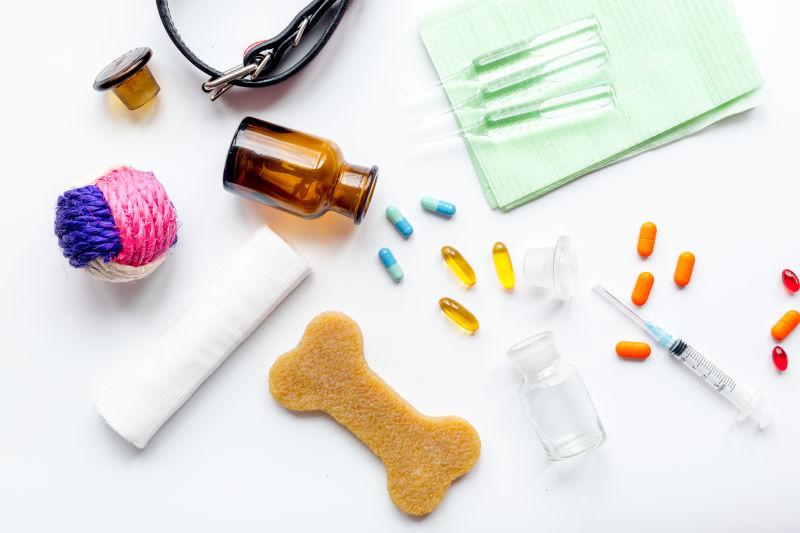 白色背景下的宠物犬护理治疗概念