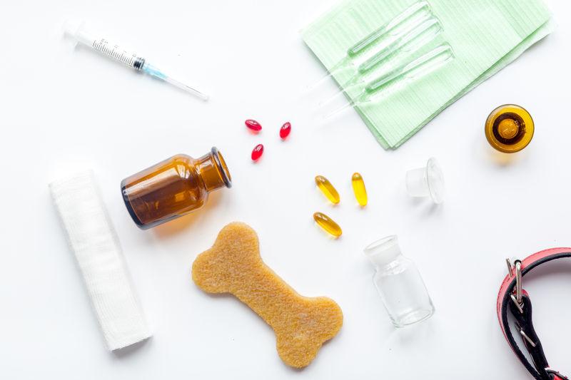 白色背景下的宠物犬护理工具