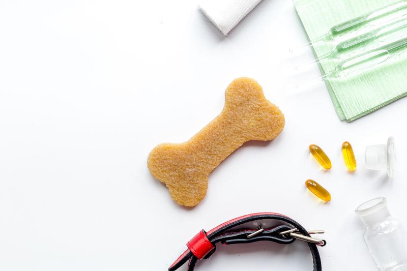 白色背景下的犬类项圈甘油等护理工具