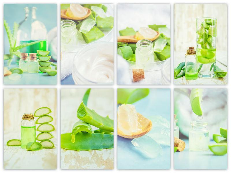 八张芦荟精华提取拼接图