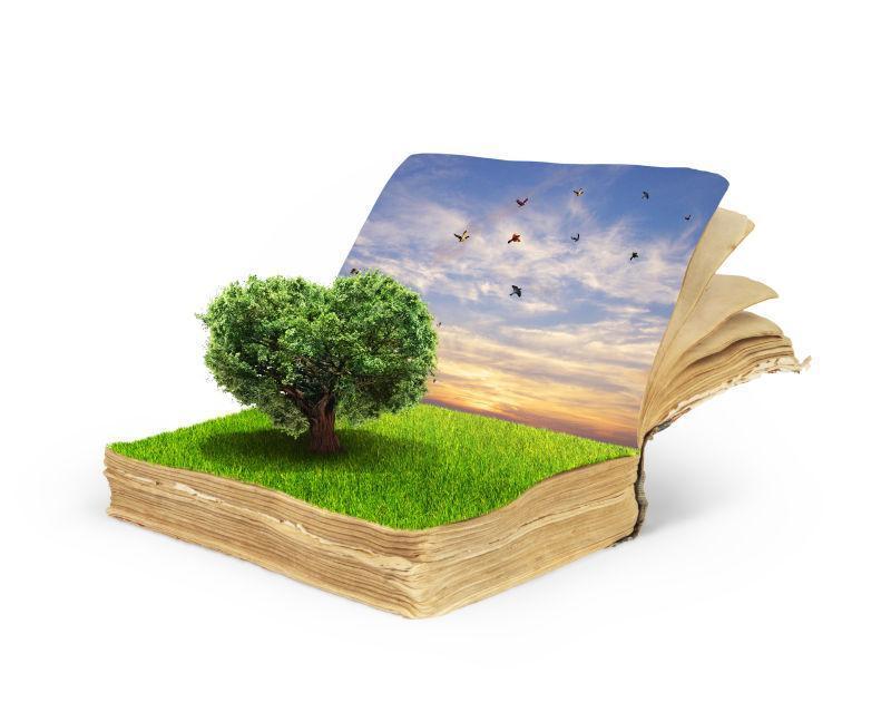 白色背景中魔书的概念