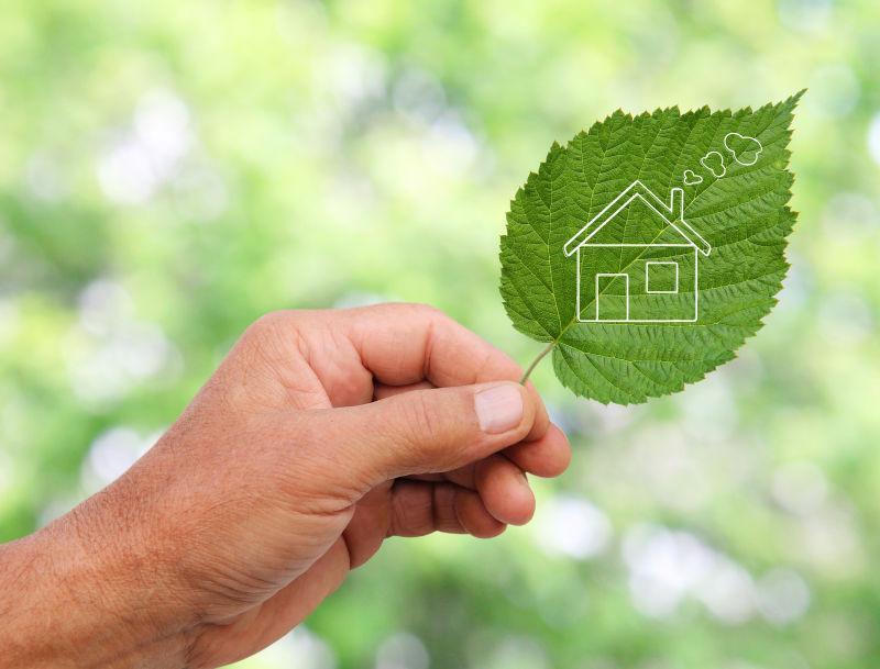 手持自然生态住宅叶子