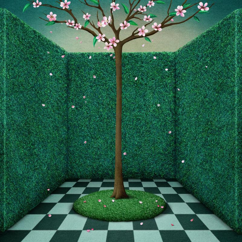 绿色围墙间的桃花树