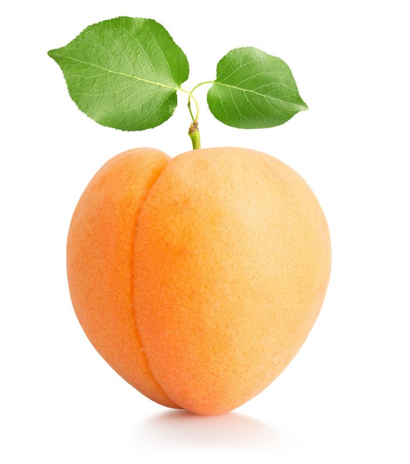 新鲜的杏子在白色背景下