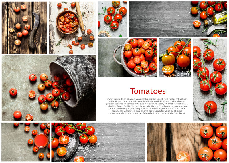 新鲜番茄的食品拼贴