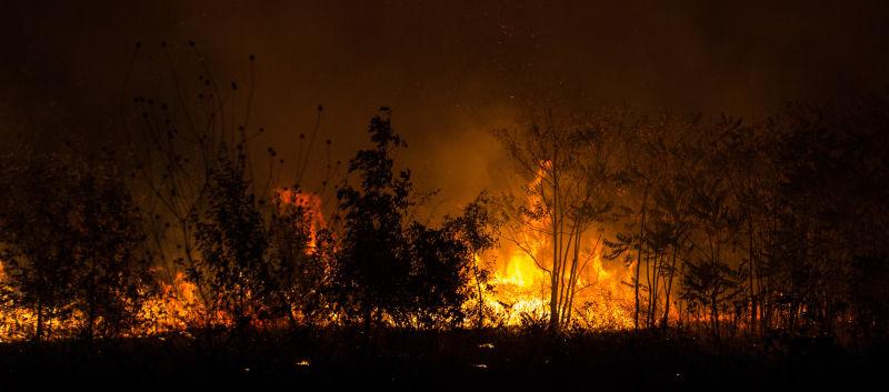 深夜里的森林大火