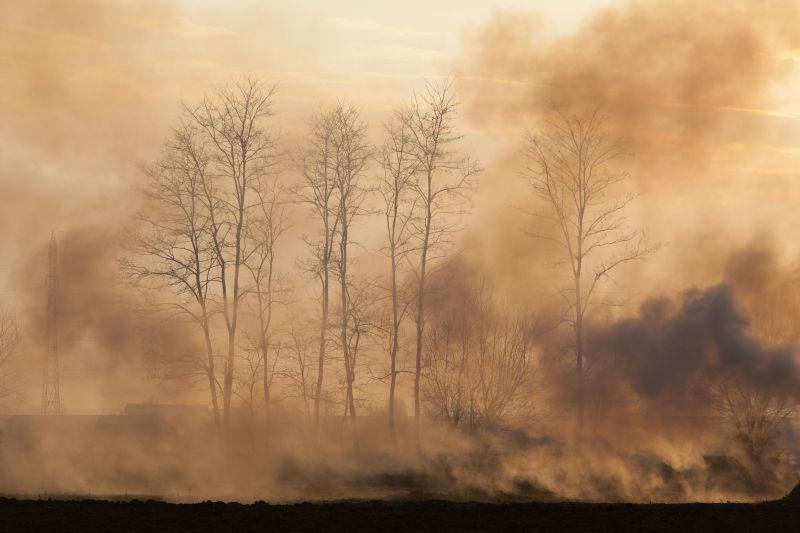 烟雾缭绕的森林烟火