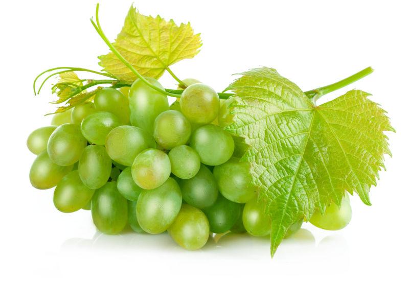 新鲜绿叶葡萄