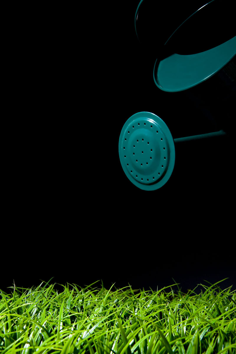 草地上的蓝色水壶