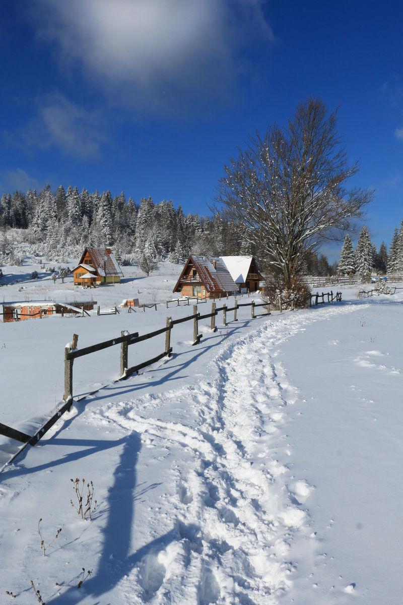 有阳光的蓝天下冬季的覆盖着雪的房子