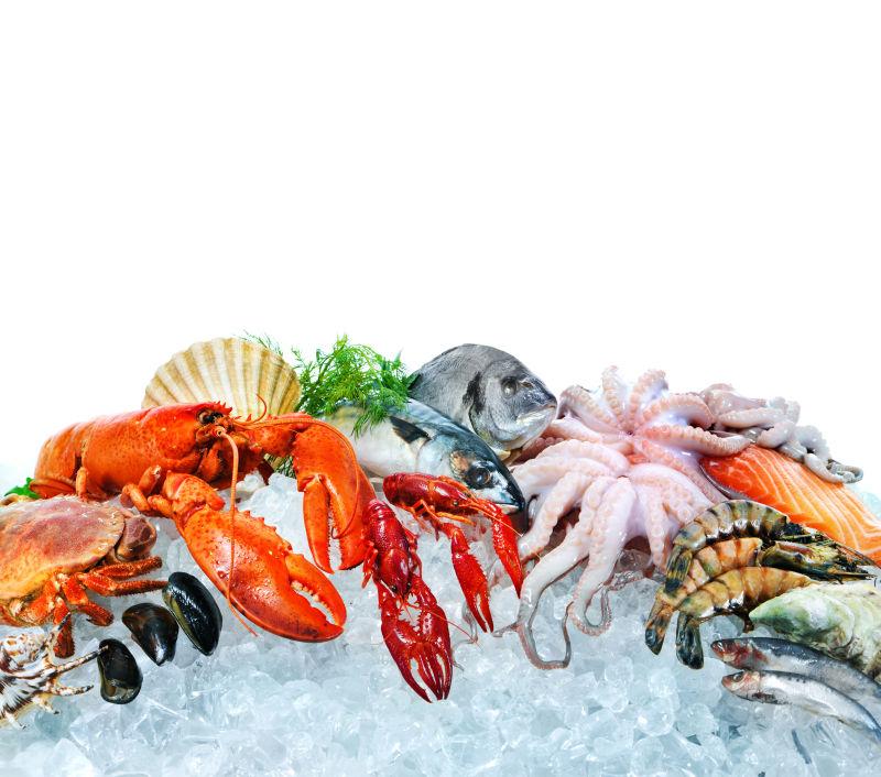 白色背景下冰块上的各种各样的新鲜海鲜