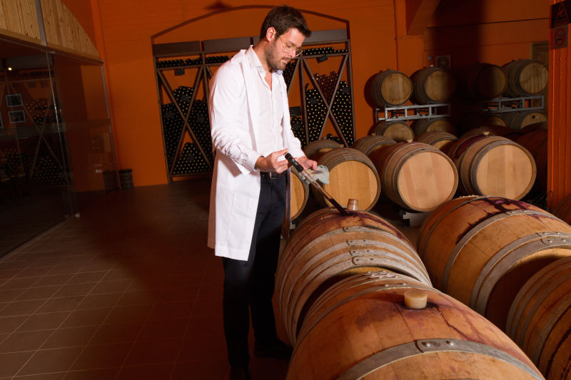 酒窖里从橡木桶中取样酒的酿酒师