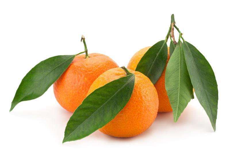 白色背景下的新鲜的带绿叶的橘子