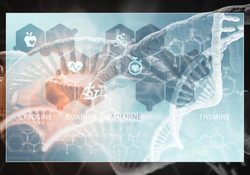 三维绘制运动着的人体DNA