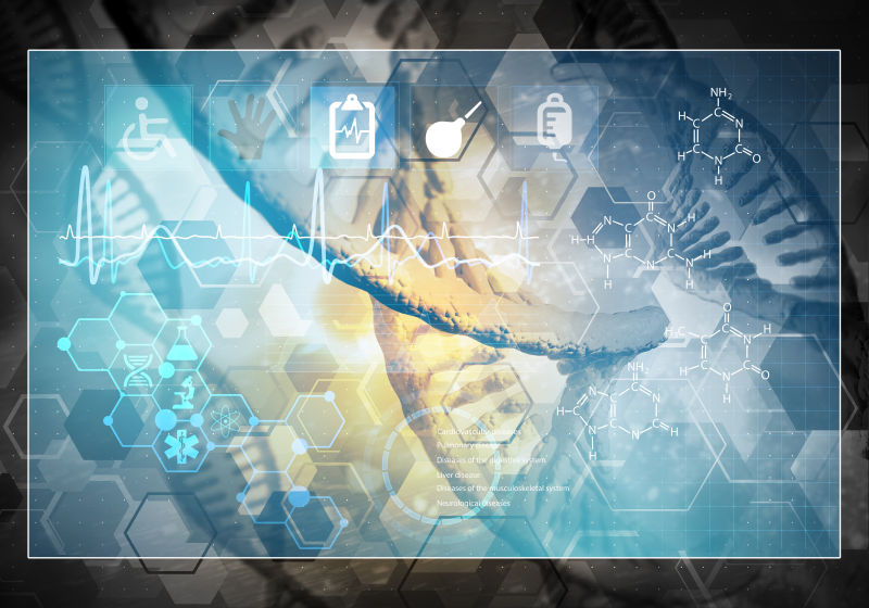 三维绘制DNA与心电图