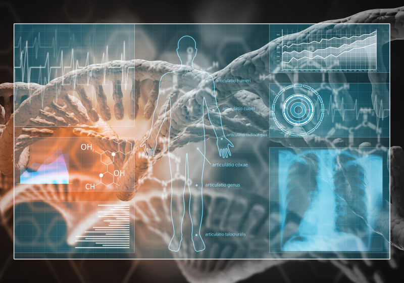 人体DNA研究的概念图像