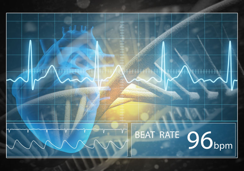 三维绘制图像心脏的DNA