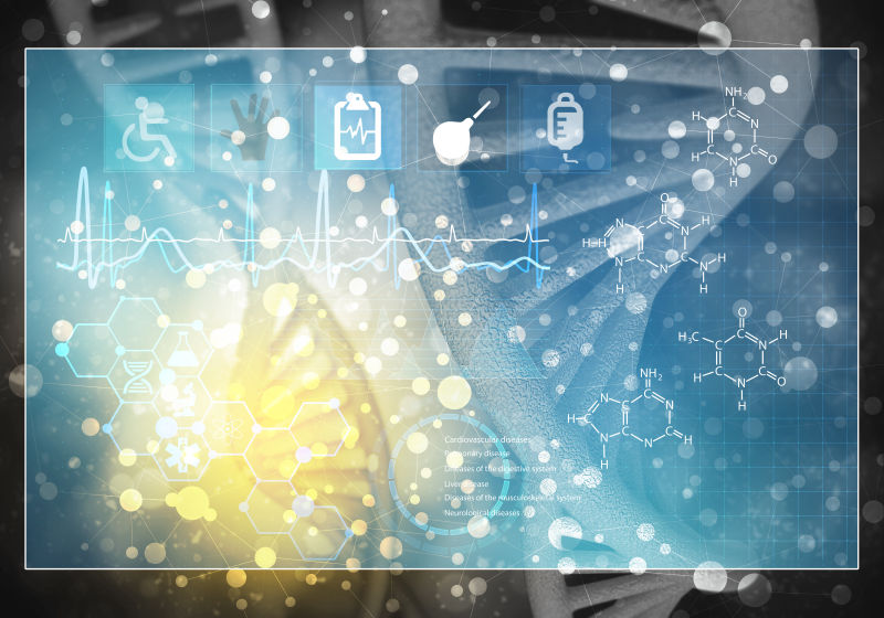 DNA与心脏的3D渲染图像