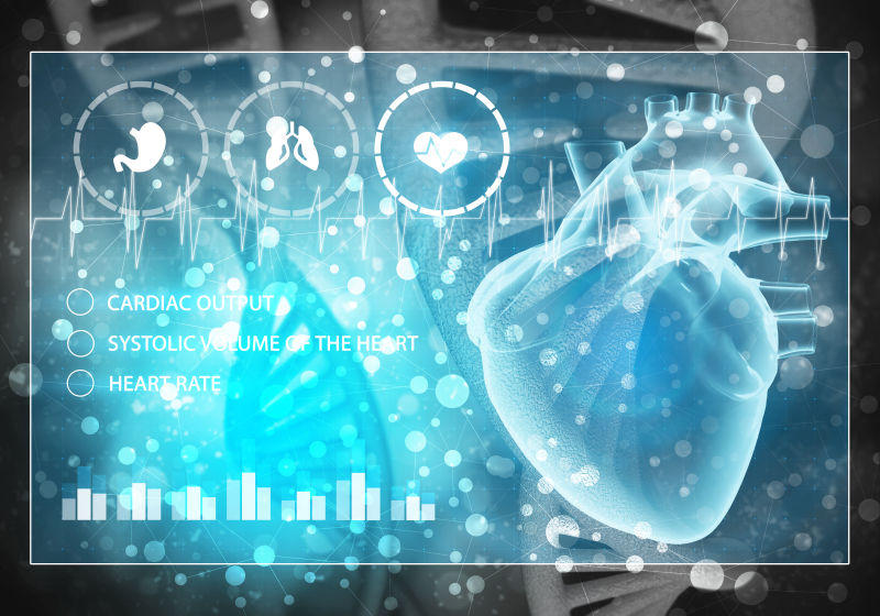 三维绘制心脏的DNA结构