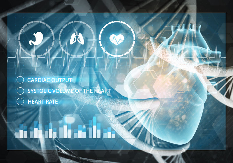 三维绘制DNA研究的概念中的心脏