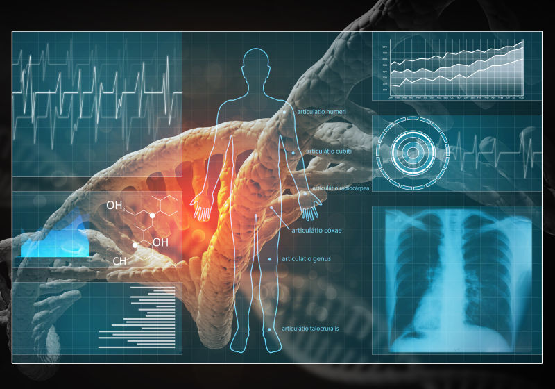 人体与心电图的三维绘制