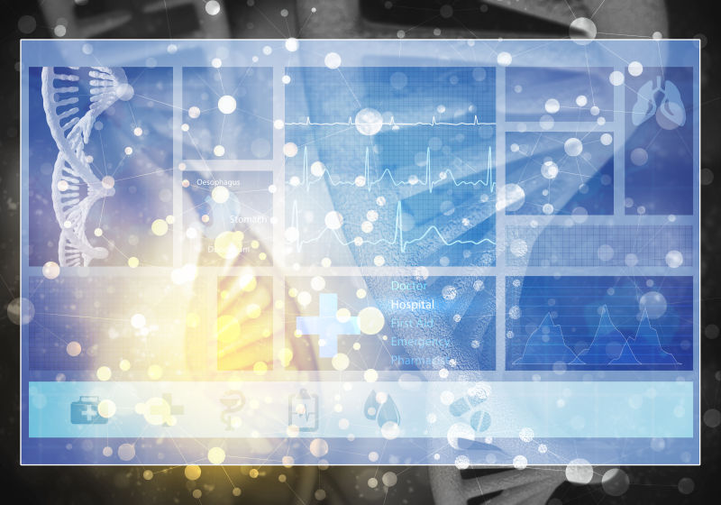 3D渲染器官DNA