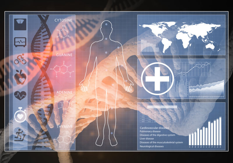 人体器官的DNA的三维绘制