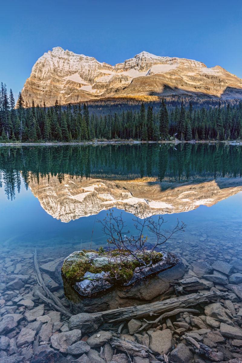 倒映在湖里的风景