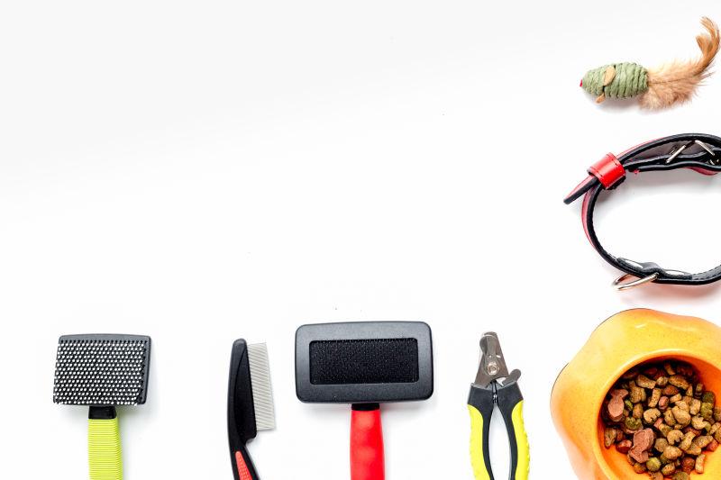 白色背景下的概念宠物护理训练