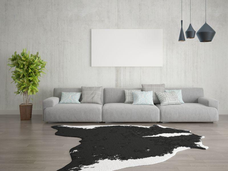 大型明亮客厅里的沙发