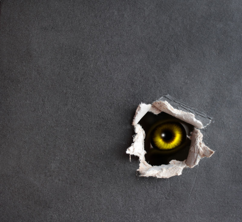 破纸洞的眼睛