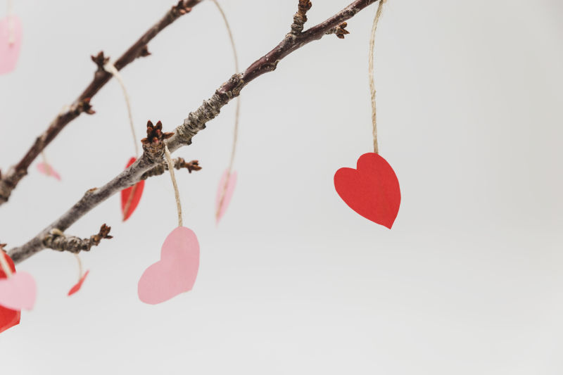 挂在枝头的爱心折纸