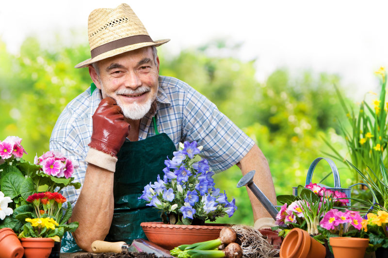 托着下巴的老园丁和各种鲜花盆栽