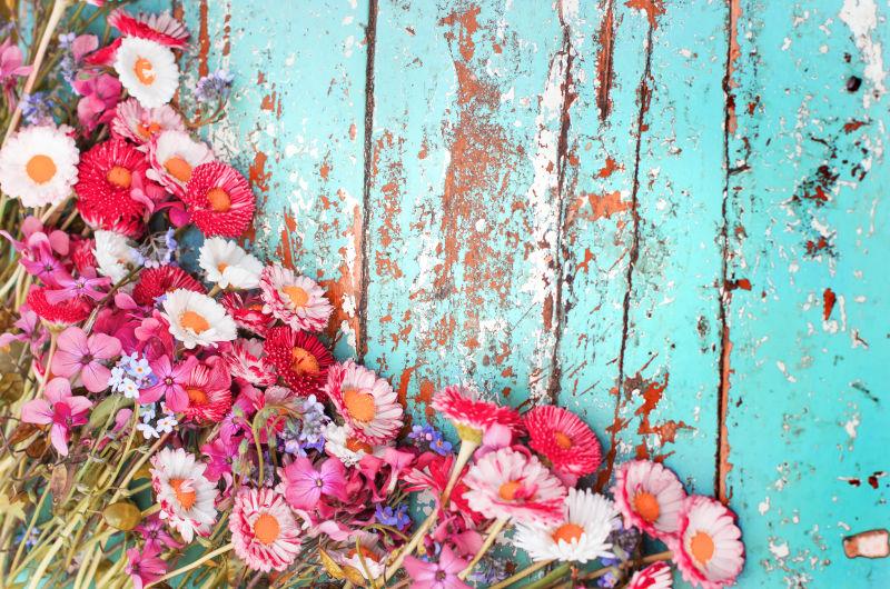 夏季五颜六色的花朵