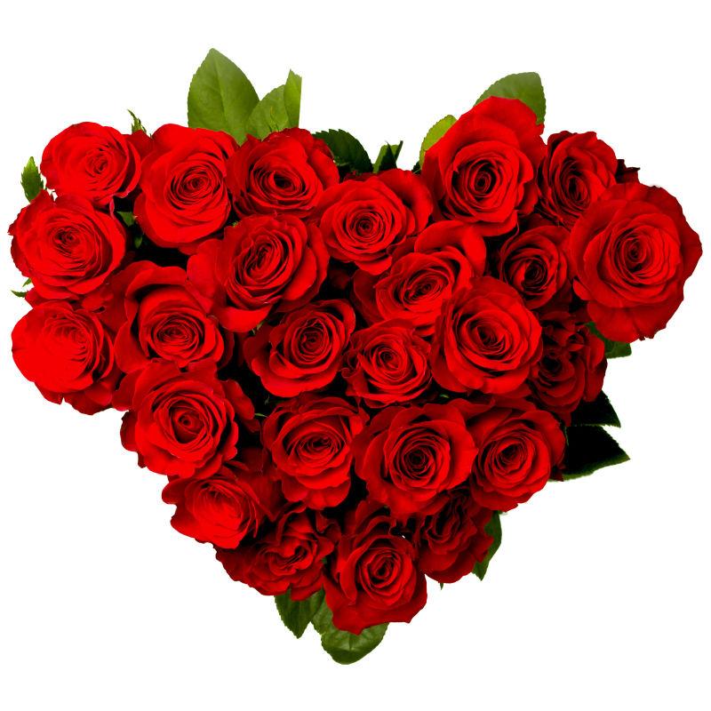 心形玫瑰