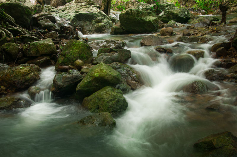 森林公园里的小溪