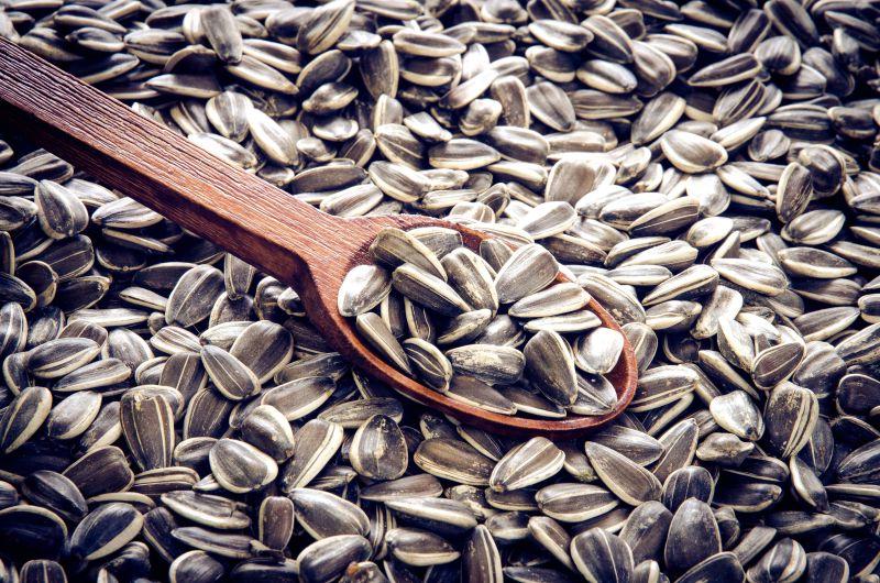 许多葵花籽背景下的勺子里的葵花籽