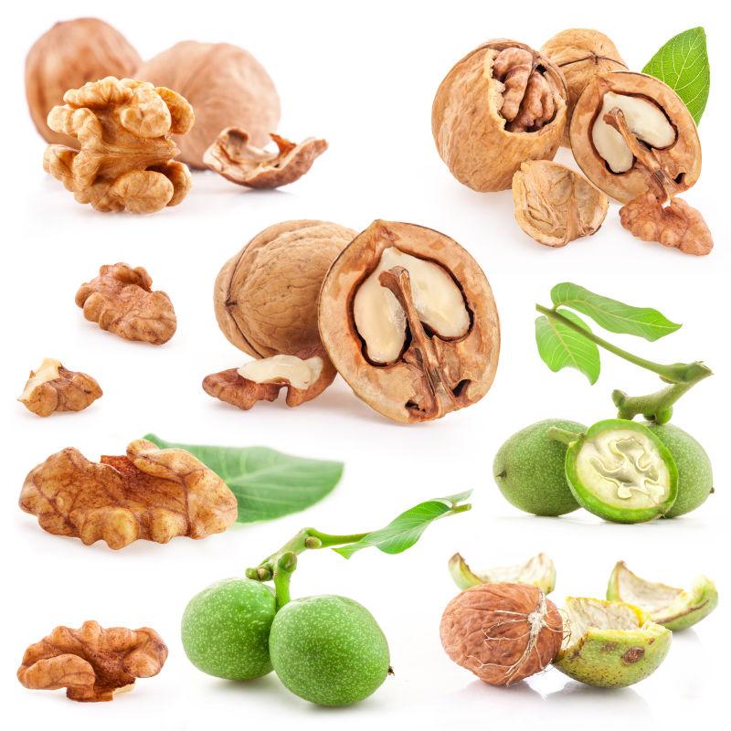 白色背景下成熟的核桃和没有成熟的核桃