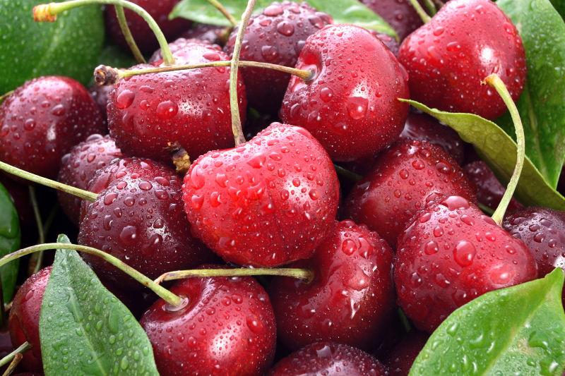 点缀着叶子的樱桃