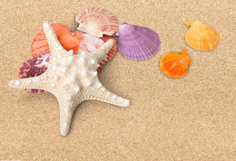沙滩上的海星和彩色贝壳