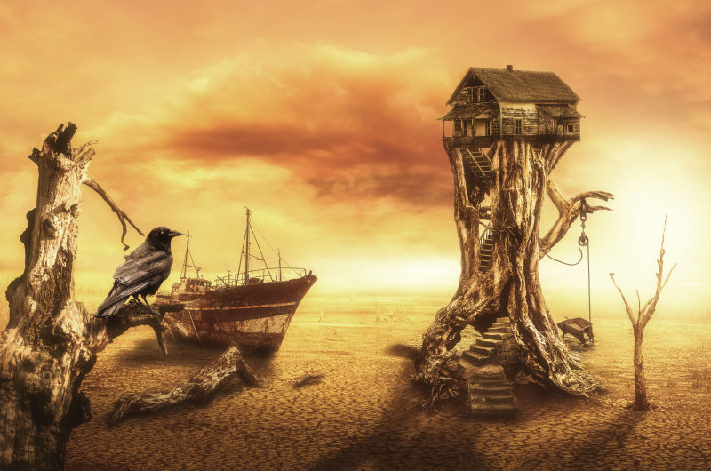 沙漠枯木上的房屋