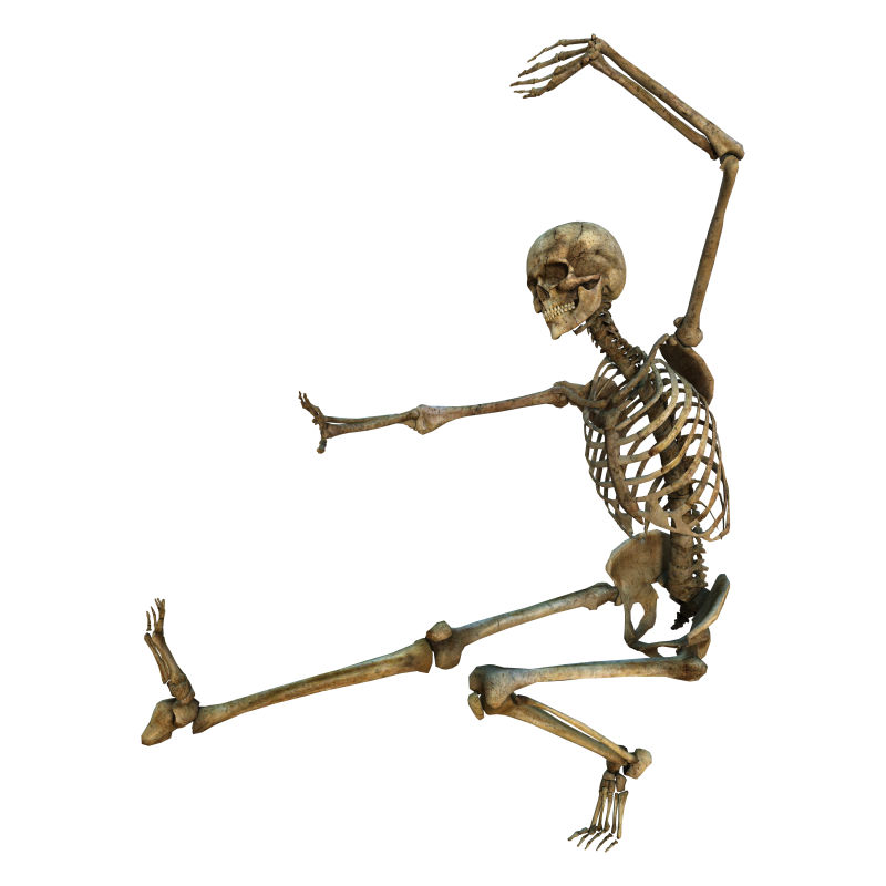 练瑜伽姿势的人体骨骼