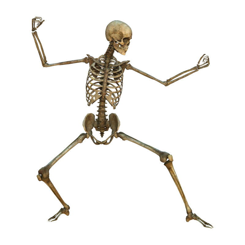 摆运动姿势的人体骨骼